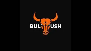 BULL RUSH Live Stream
