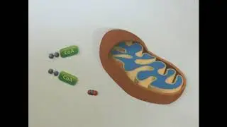 GROUP #2 | Cell Magic