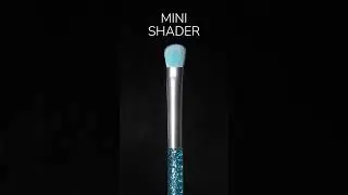 Must-Have Eye Brushes | MODA Brush