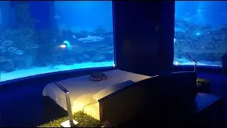 India's First Underwater Luxury Suite - Things to do Chennai, India