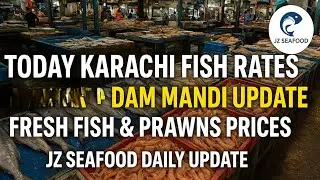 Today Karachi Fish Harbour & Dam Mandi Rates | Fresh Fish & Prawns Price Update | Seafood Market