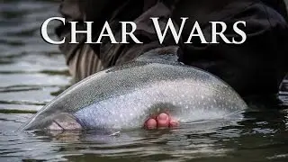 Alaska Char Wars | Arctic Char of the Iliamna River