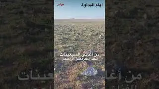 الفنان عمر مطلق الراجحي // شلت التلفون 