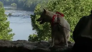Connect NC Supports North Carolina State Parks