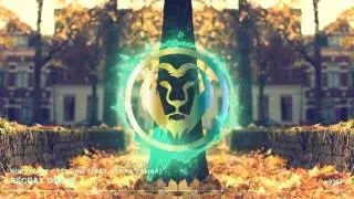Hopsteady - Feel Me (feat. Elora Zamar)