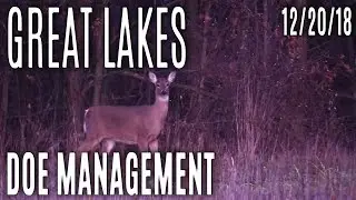 Great Lakes 2018 | Doe Management