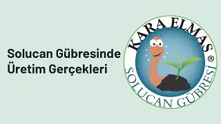 Solucan Gübresinde Üretim Gerçeklerini Bir De Bizden Dinleyin