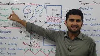 Ch.23 Lec.9 Transgenic Bacteria Urdu/Hindi Lecture Fsc, MDCAT, NUMS, Prepa By M Bilal Chaudhary.