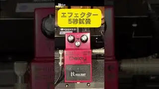 【エフェクター5秒試奏】BOSS DM-2w Delay　#effectpedals #guitar #guitarpedals #maruka楽器