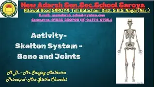 Immersing Science: Skeleton System- Bones and Joints| New Adarsh Senior Secondary School Saroya