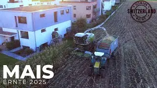 Maissilage-Ernte in Wangen SZ 🌽🚜 | Moderne Landtechnik in 4K | DJI Mavic 2 Zoom