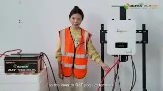 Bluesun 6KW Hybrid Solar System