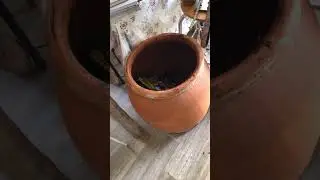 Part of the &lsquo;Harakeke compost&rsquo; series