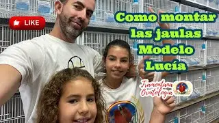 Como montar las jaulas nuevas paso a paso !!