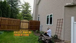 Ayah Datang Rumah Visit Naz Tolong Tanamkan Jagung di Garden |  Appartment di Chicago Tak ada Tanah