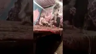 Awara beta ya khuda