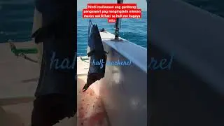 half mackerel#fishinglife #ofwvlog #viralvideo