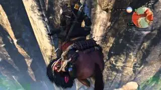 The Witcher 3: Roach doesn't take fall damage
