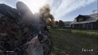 DayZ Vanilla Solo