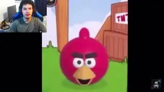 Talking red angry bird meme