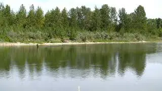 Fly Fishing South Valley Red Deer River