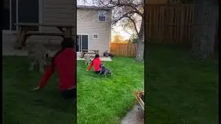 Leopard Attacks Woman! Pitbull's Lightning Fast Rescue! #wildlife #animals #leopard #dog