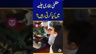 Uzma Bukhari #shorts #minarepakistan #pmlnupdates