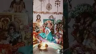 karuda karo kast haro laddu gopal ji #sotvideo 🙏