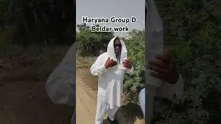 देखिये हरयाणा ग्रुप डी मे बेलदार का कार्य #haryana #groupd #beldar #hssc #cetexam #irrigation