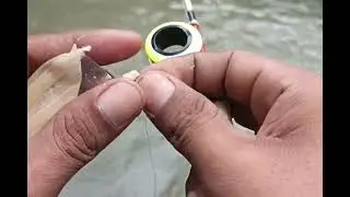 Mancing di kali kali dekat perkampungan.ternyata banyak udang nya. #fishingvlog #vlogalam 