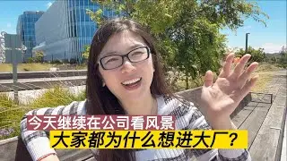 坐在公司看风景 | 谈谈为什么大家都想进科技大厂
