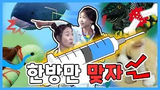 아픈 동물을 치료해줘요 | 수의사 직업체험 | Hospital Play for Kids | animal hospital