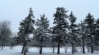 Winter 2026. At Candy Cane Park. Regina SK.