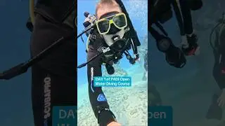 Вот что вас ждет в 1-й день курса PADI Open Water Diving в дайвинг-центре Divers Den в Кэрнсе 🐠🤿 ...