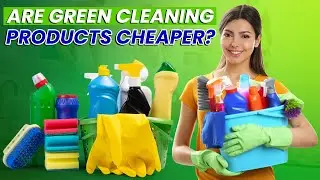 ARE GREEN CLEANING PRODUCTS CHEAPER?
