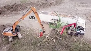 1200 CH au Broyage de Bois | Pezzolato PTH 1400 1000 🌳 Forets et Paysages