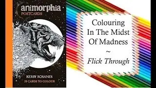 Animorphia Postcards by Kerby Rosanes | Colouring Postcard Flip Through