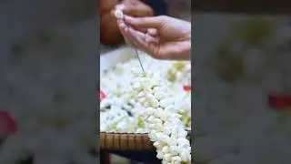 Kadupul flower ( world's most expensive)