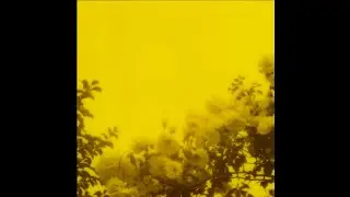 the maccabees - toothpaste kisses (lyrics)