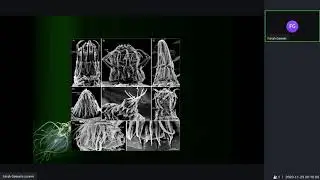 Kinorhyncha