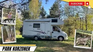 Park Korzonek/Konopiska okolice Częstochowy
