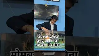 #power of physics #science #experiements #schoolexperiment #scienceexperiment