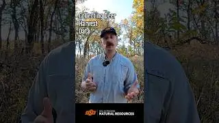 Collecting Deer Harvest Data #deer #hunting #deerhunting
