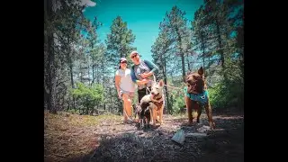 Hike Vibes