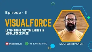 VF Page | Ep-3 | Learn to use Custom Labels in Visualforce Page | Salesforce UI Development