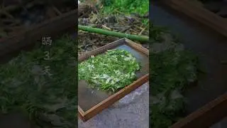 Ancient Fire-Making Secrets 🔥 How People Preserved Fire Without Lighters