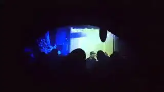 Asyncrono / Electrovinyl 13.02 MONKEY NIGHT