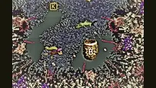 Perspective of Bliss - Donkey Kong Country 3 GBA OST - Water World Remix