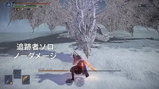 【エルデンリングナイトレイン】常世カリゴ&thinsp;&thinsp;追跡者ソロ&thinsp;&thinsp;ノーダメージ