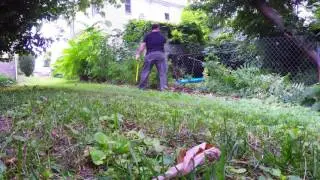 40 minutes of yard work time lapsed into 4 minutes